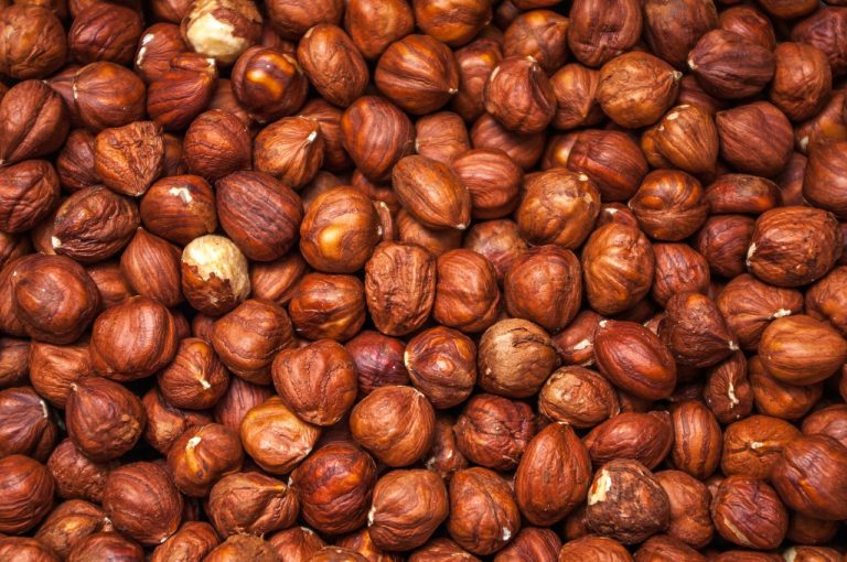 salsa de avellanas